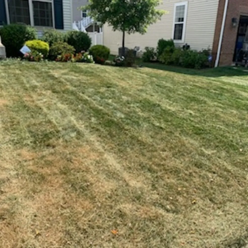 Custom yard maintenance with custom design across St Charles, MD - Tjs Yard Care