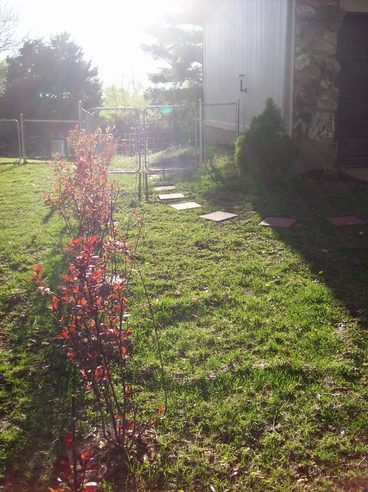 Expert yard cleanup service in Saint Peters, MO - TJW Landscaping