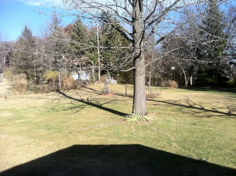 Expert yard cleanup service in Saint Peters, MO - TJW Landscaping