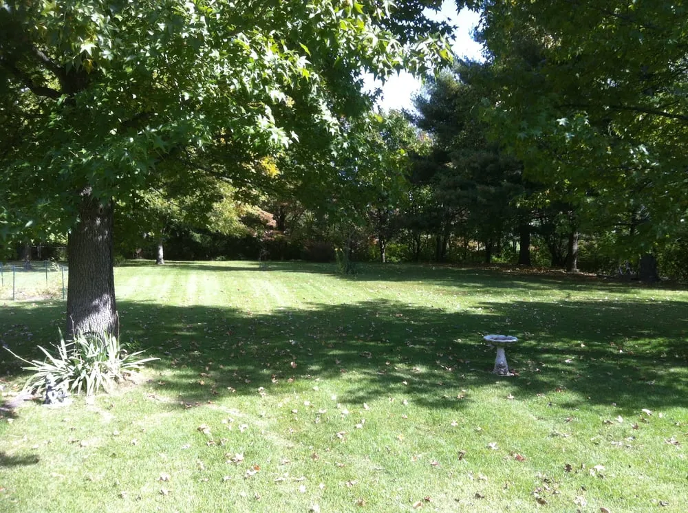 Professional lawn care service near you in Saint Peters, MO by TJW Landscaping