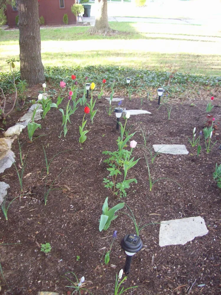 Local landscape installation in Saint Peters, MO - TJW Landscaping