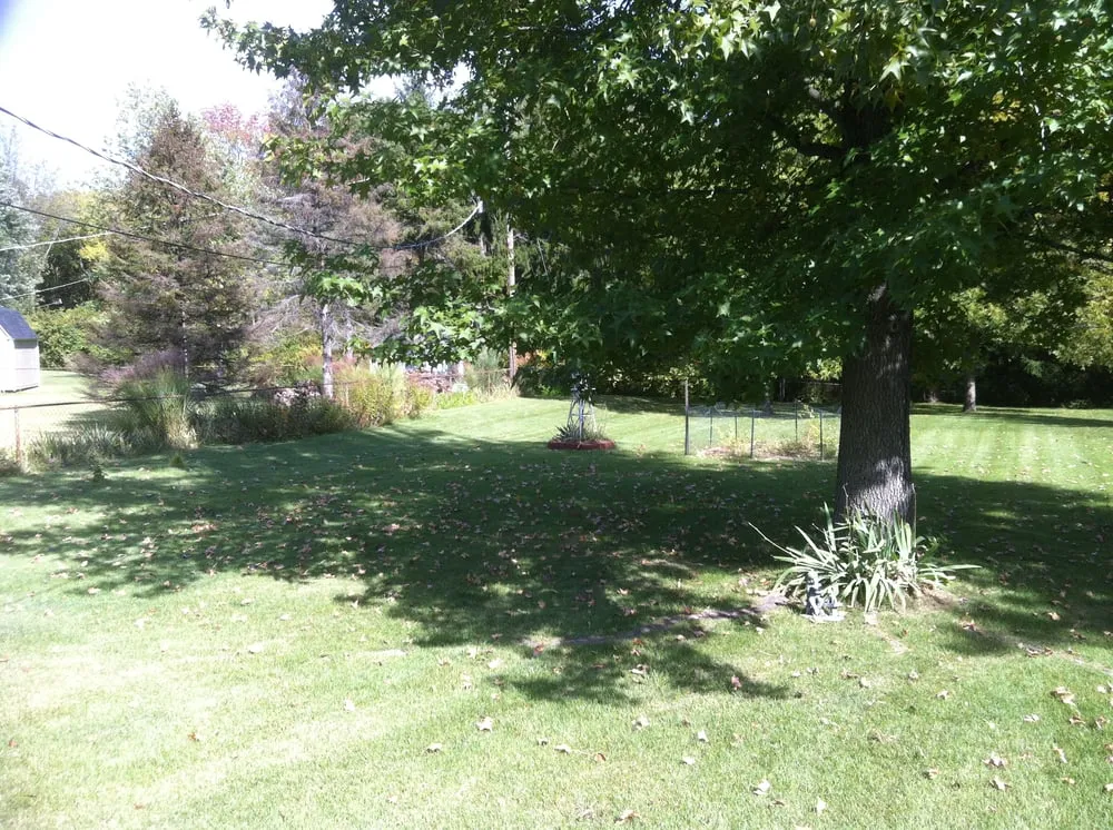 Trusted lawn care service in Saint Peters, MO by TJW Landscaping