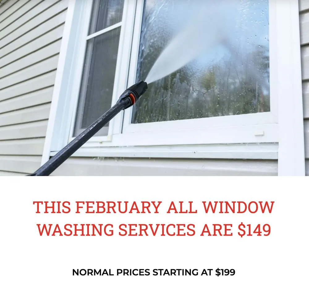 Trusted yard maintenance in Dunedin, FL - TK Beachside Services