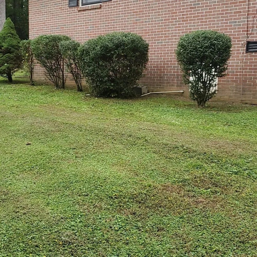 Local yard cleanup service for beautiful yards across Dalton, GA - TK Bonds Lawn Care
