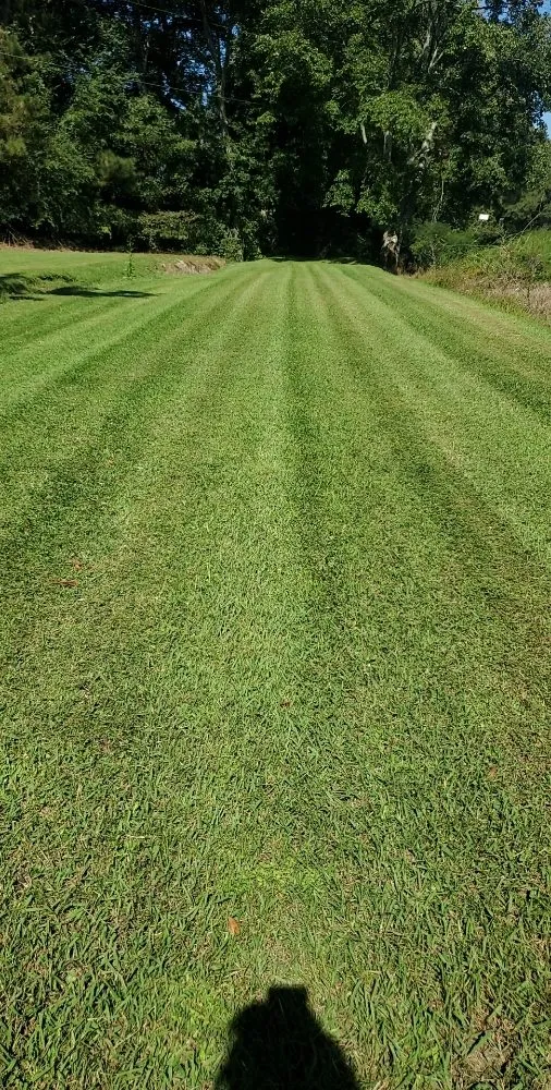 Expert landscaping services for outdoor upgrades in Dalton, GA by TK Bonds Lawn Care