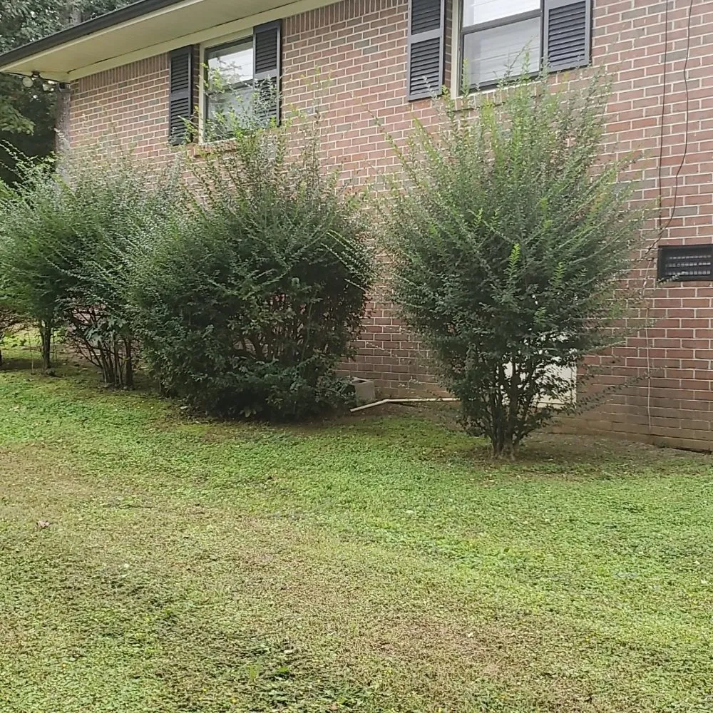 Affordable landscape installation in Dalton, GA - TK Bonds Lawn Care