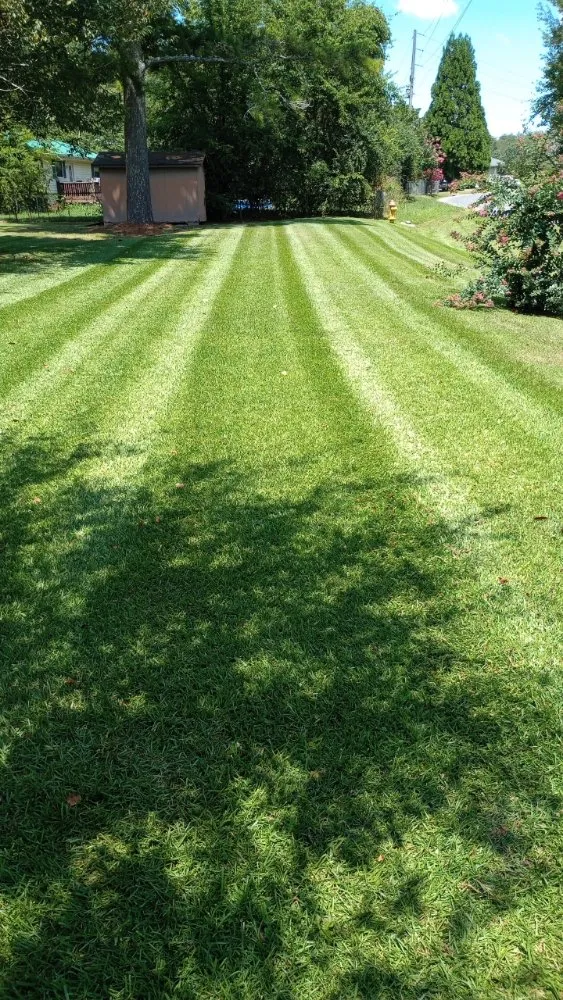 Reliable residential landscaping experts serving Dalton, GA - TK Bonds Lawn Care