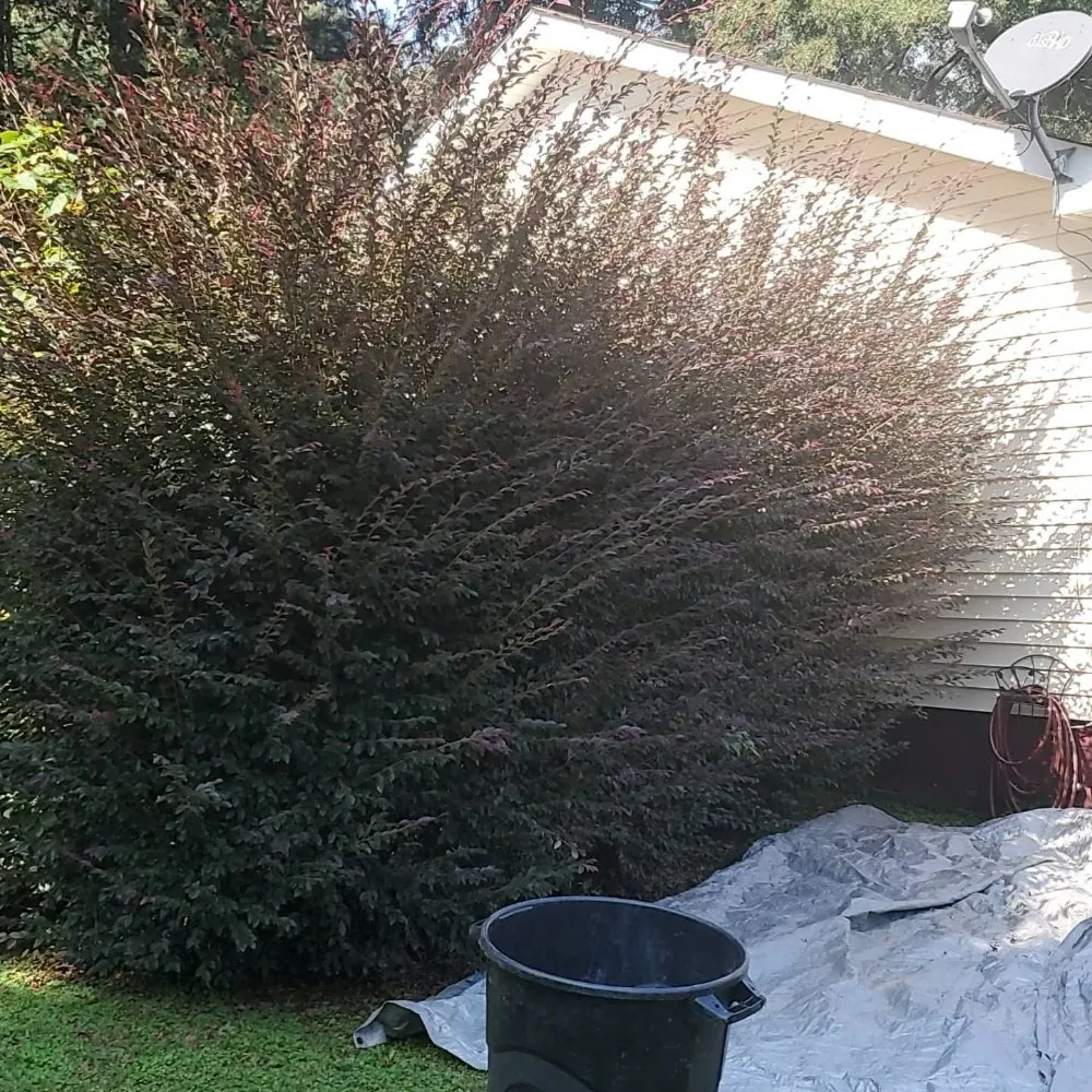 Expert landscape installation in Dalton, GA by TK Bonds Lawn Care