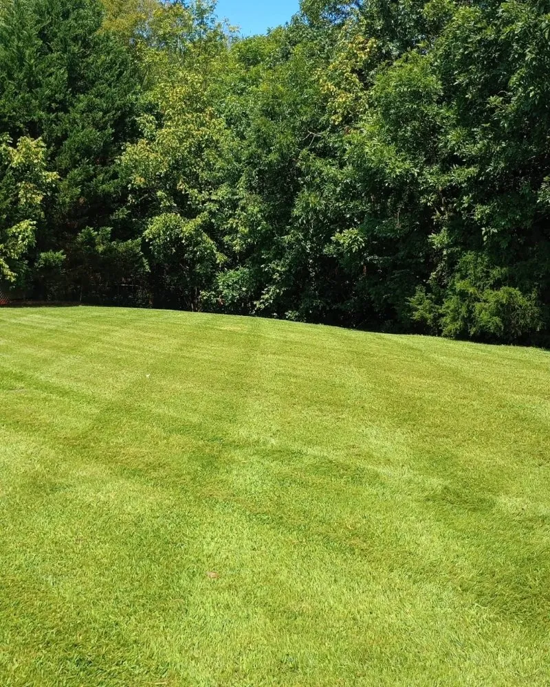 Custom lawn care service in Dalton, GA by TK Bonds Lawn Care