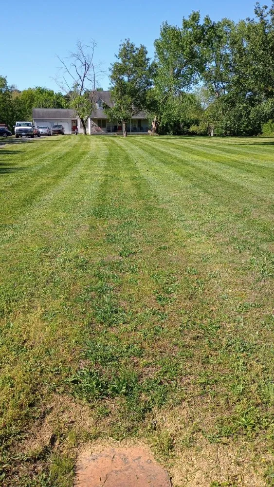 Professional landscape design for year-round maintenance across Dalton, GA - TK Bonds Lawn Care