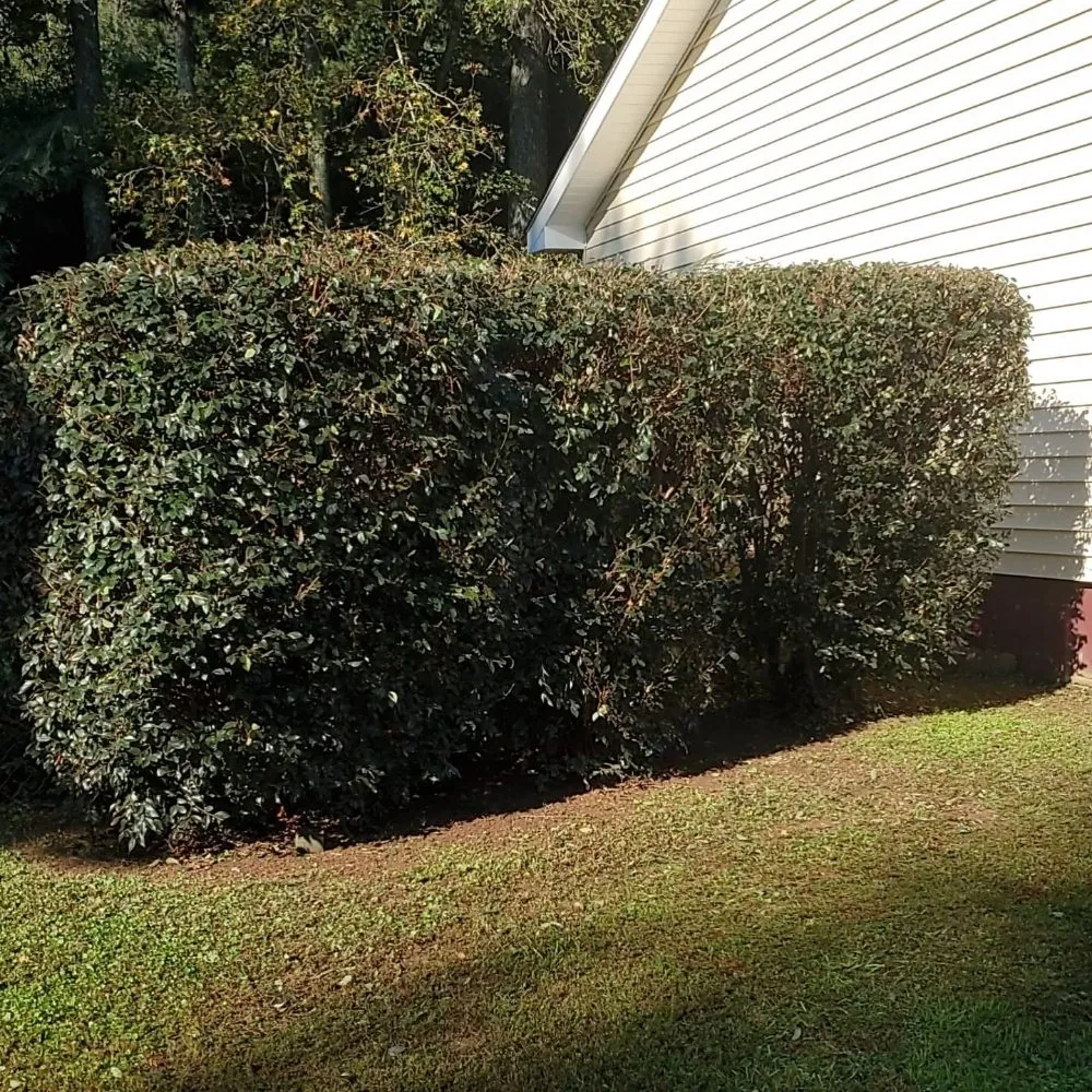 Reliable landscaping services in Dalton, GA - TK Bonds Lawn Care