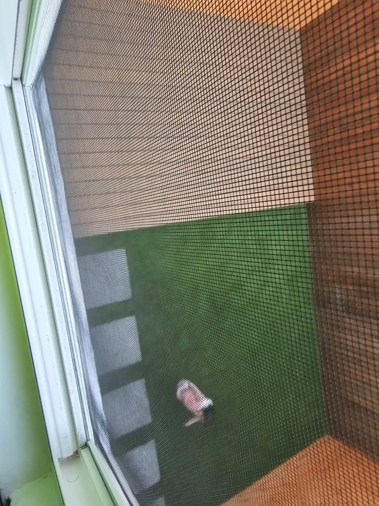 Trusted landscape design in san leandro, CA by TK Constructions