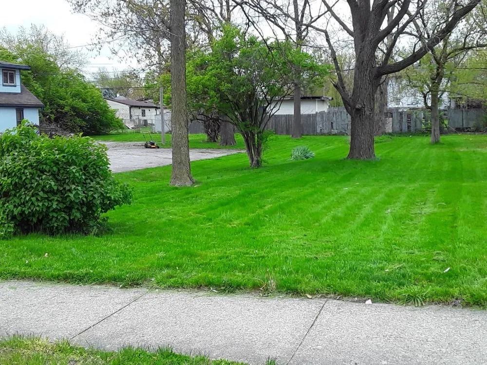 Custom yard cleanup service experts serving Dayton, OH - Tk Handyman and Lawn Care Services