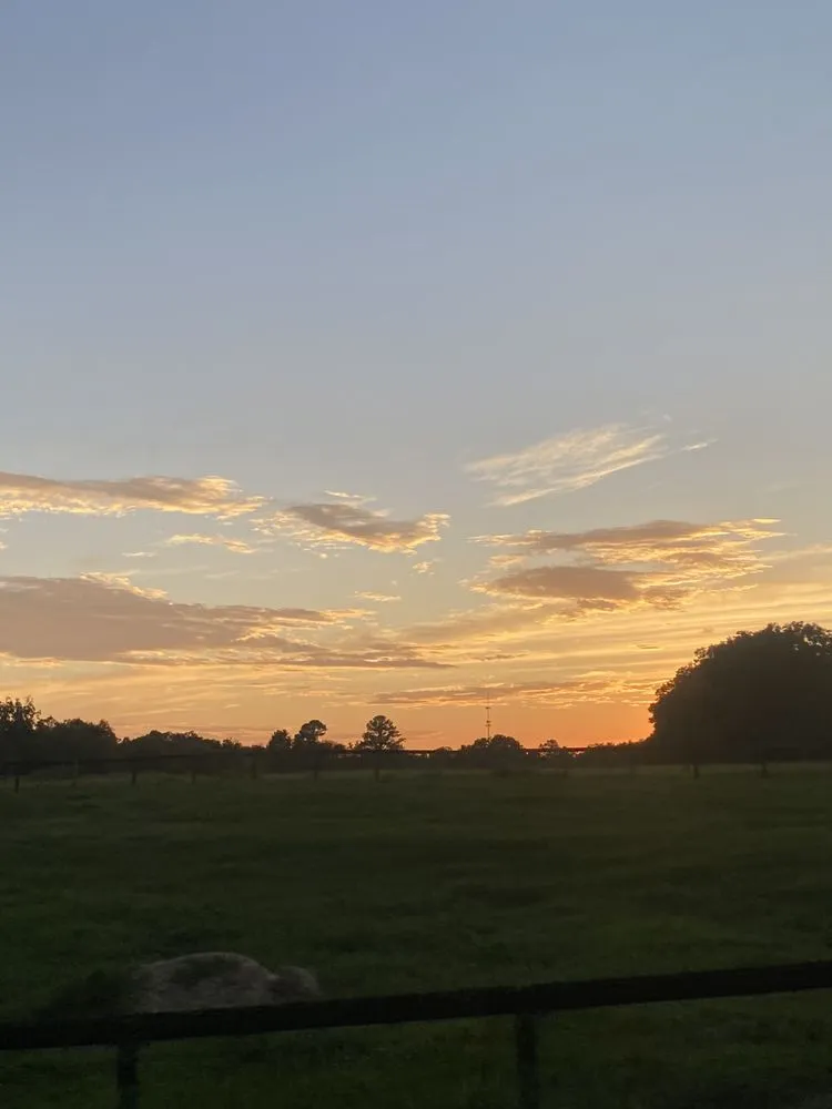 Local outdoor landscaping for beautiful yards in Ocala, FL by TK Irrigation and Landscaping