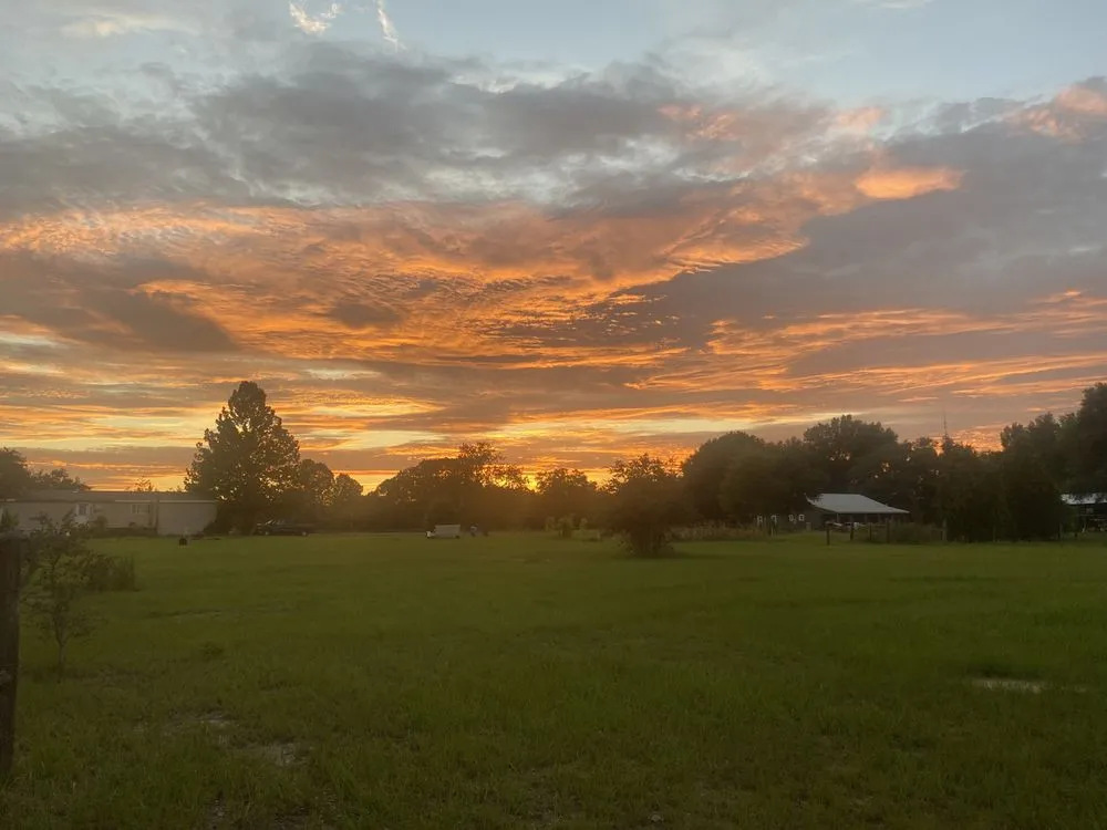 Top-rated lawn care service in Ocala, FL by TK Irrigation and Landscaping