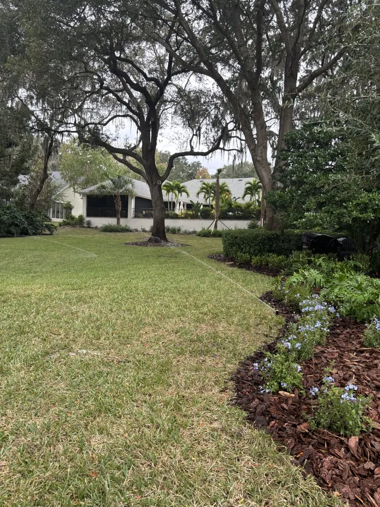 Trusted outdoor landscaping in Ocala, FL by TK Irrigation and Landscaping