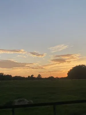 TK Irrigation and Landscaping