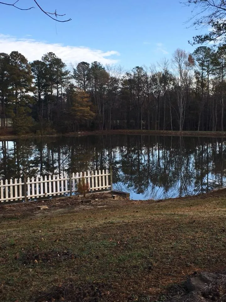Affordable lawn mowing service experts serving Ruby, SC - T&K Land Clearing