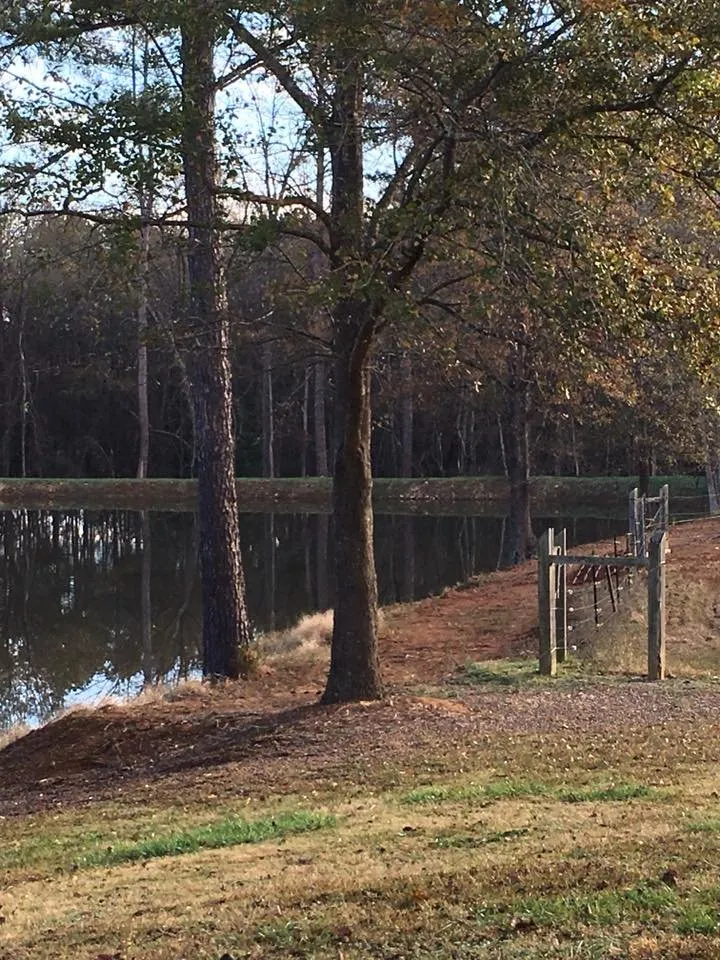 Local landscaping services in Ruby, SC - T&K Land Clearing