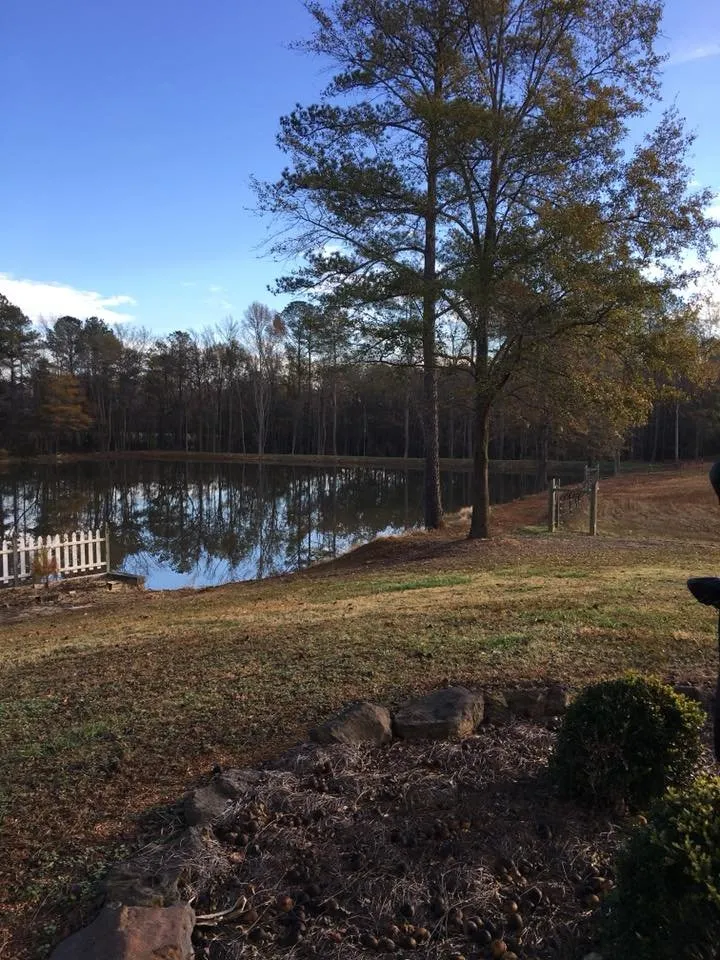 Custom yard cleanup service in Ruby, SC - T&K Land Clearing