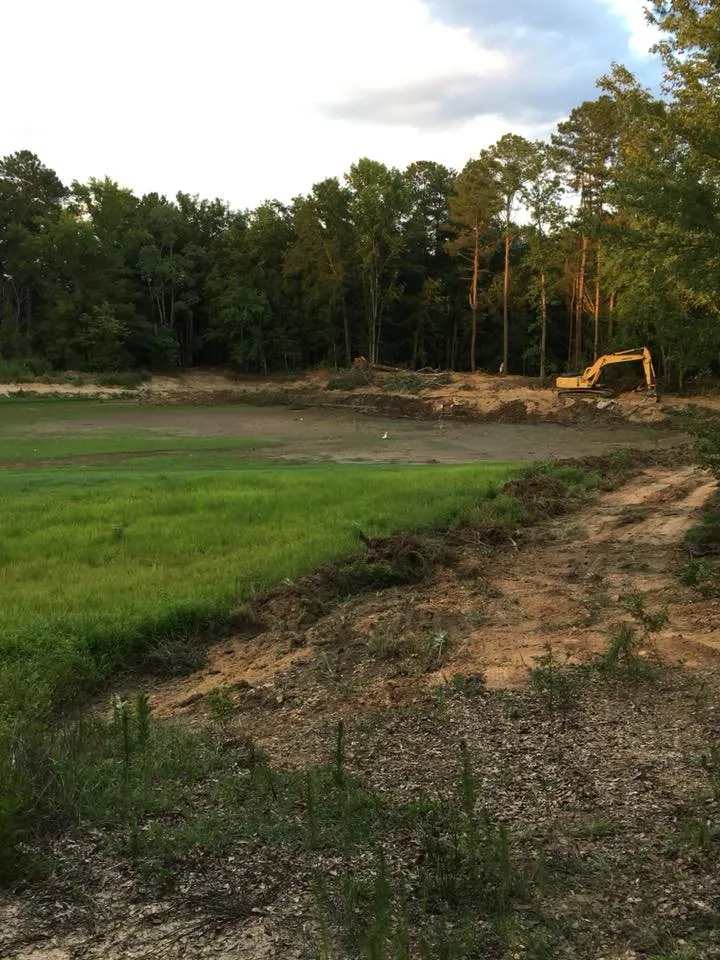 Custom yard cleanup service in Ruby, SC - T&K Land Clearing