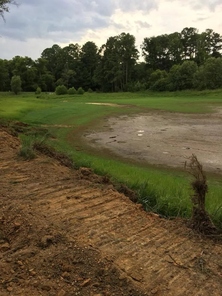 Top-rated outdoor landscaping in Ruby, SC - T&K Land Clearing