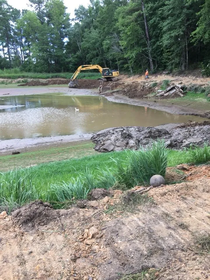 Professional lawn care service in Ruby, SC by T&K Land Clearing