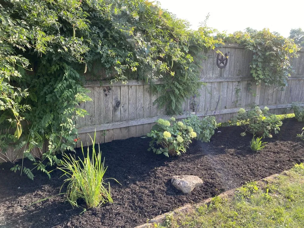 Professional lawn care service for outdoor upgrades in Syracuse, NY by Tk Landscapes