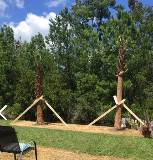 Custom residential landscaping in Conway, SC - T&K Landscaping and Designs