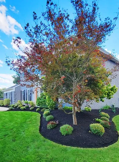 Custom yard cleanup service experts serving Hedgesville, WV - TK Landscaping and Property Management