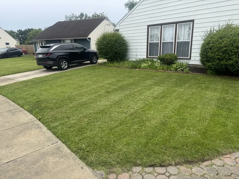 Reliable yard maintenance for year-round maintenance in Rosedale, MD by T&K Lawmcare