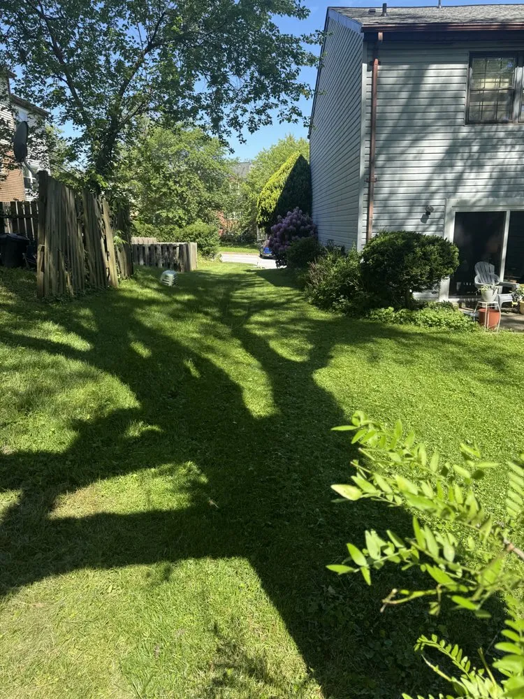 Top-rated lawn care service experts serving Rosedale, MD - T&K Lawmcare