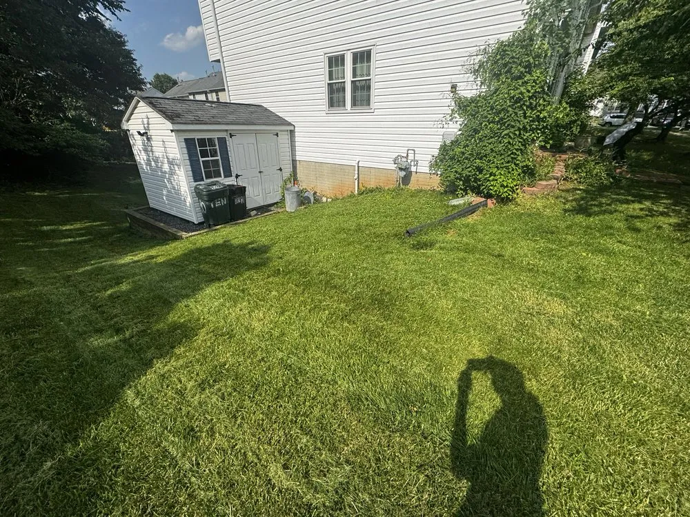 Top-rated landscape installation for year-round maintenance across Rosedale, MD - T&K Lawmcare