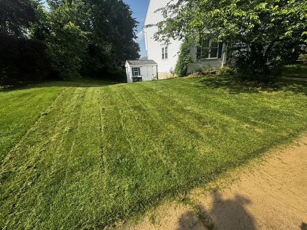 Custom yard maintenance in Rosedale, MD - T&K Lawmcare