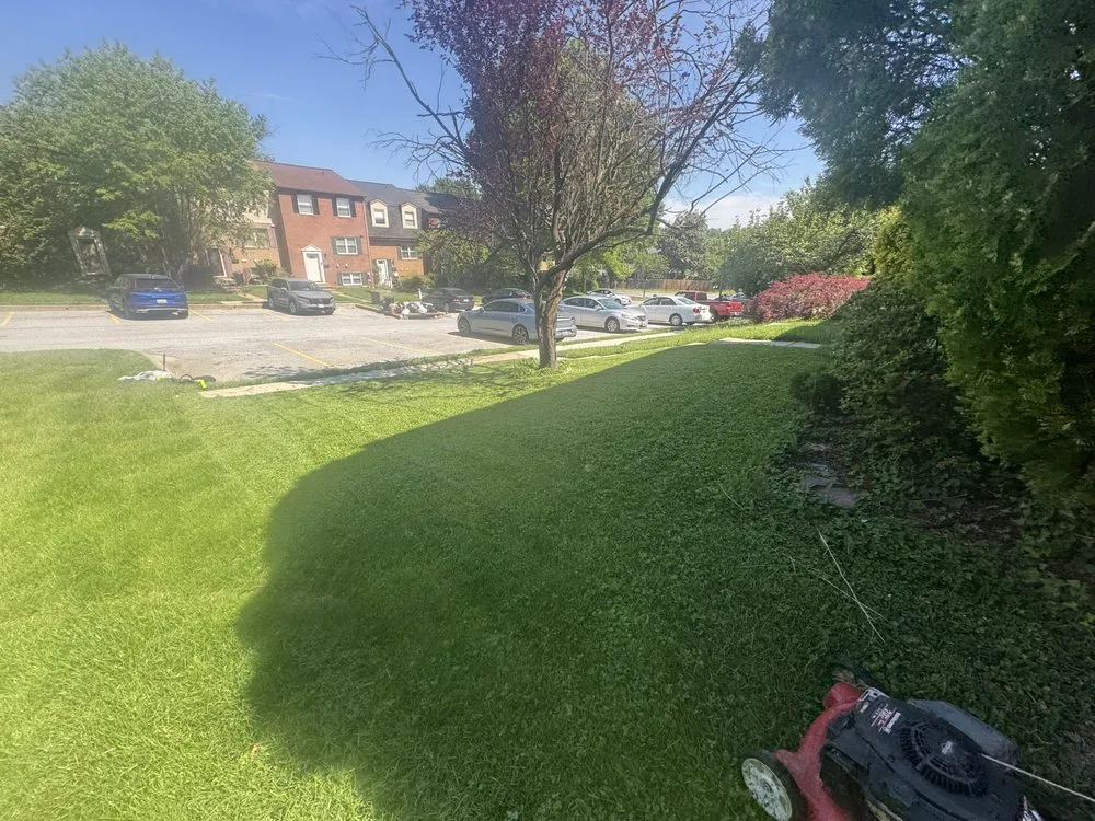 Trusted landscape design in Rosedale, MD by T&K Lawmcare