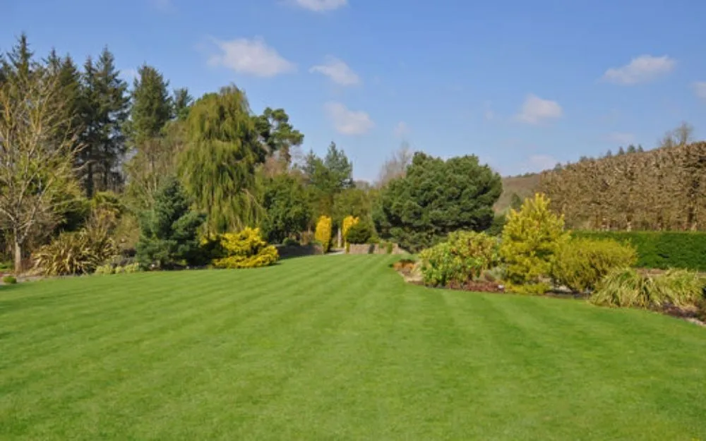 Affordable yard maintenance in Festus, MO by T&K Lawn Care And Beautification Services