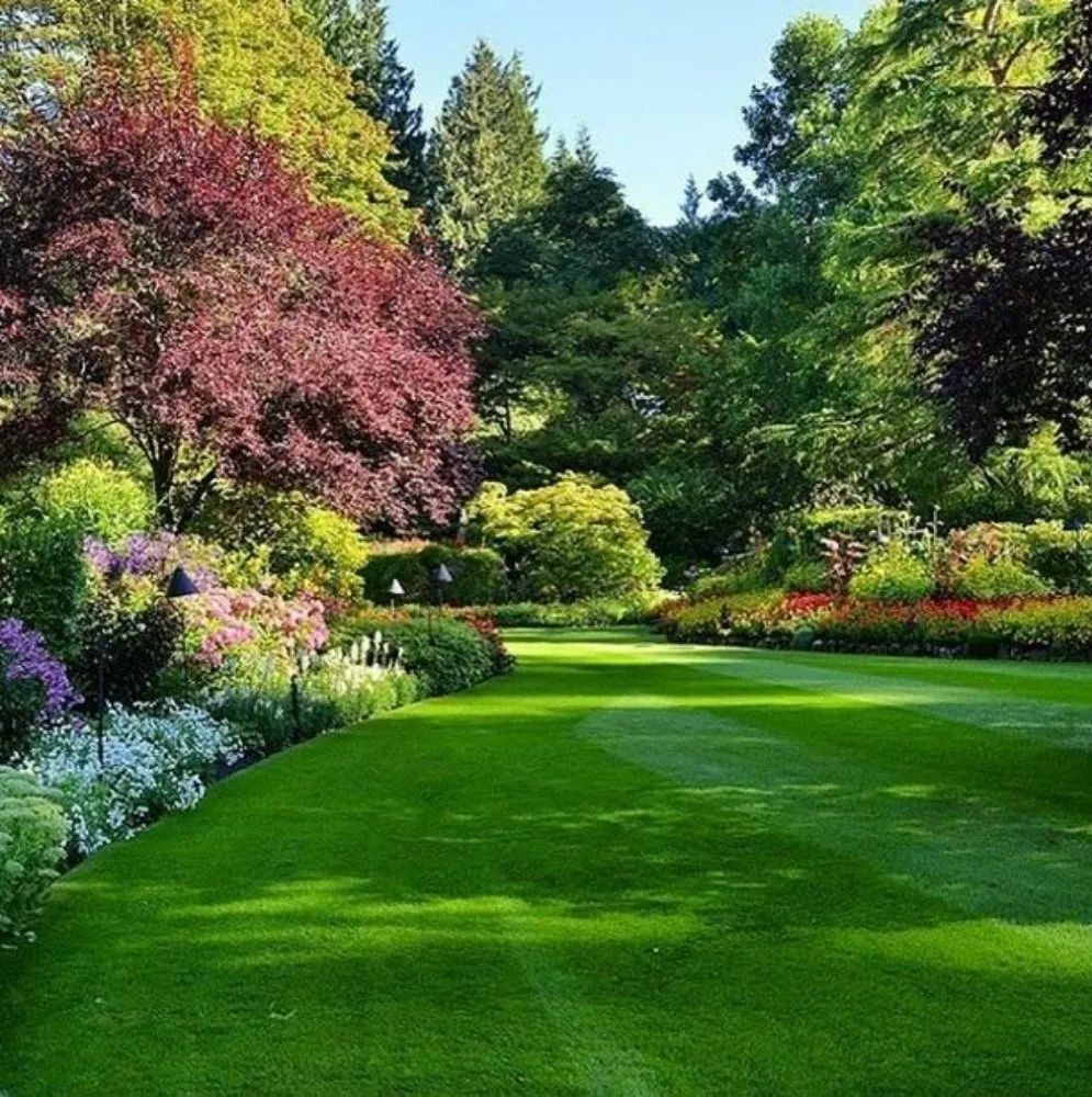 Custom yard maintenance for year-round maintenance across Festus, MO - T&K Lawn Care And Beautification Services