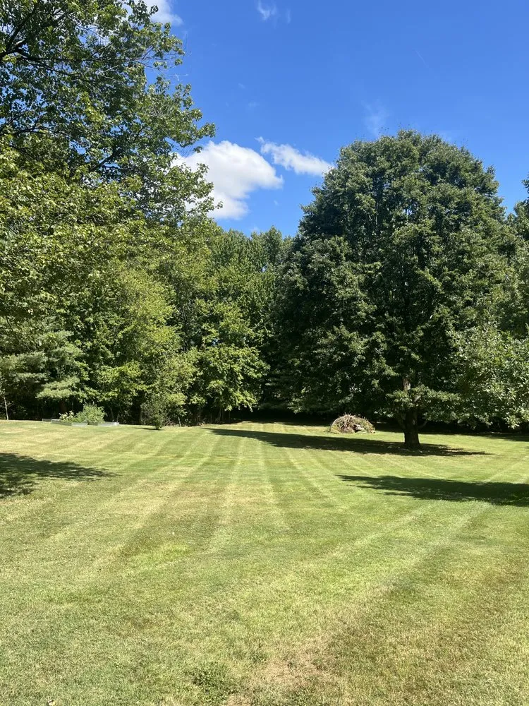 Local yard cleanup service for outdoor upgrades across Owensboro, KY - Tk Lawncare