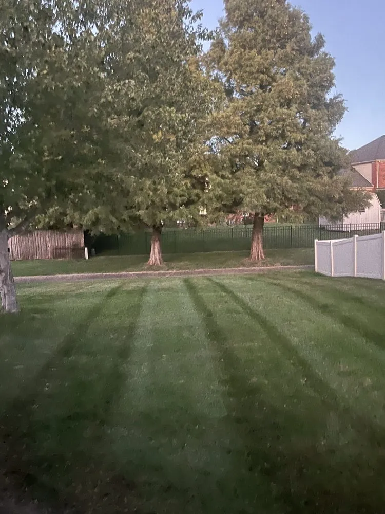 Expert landscape design near you across Owensboro, KY - Tk Lawncare