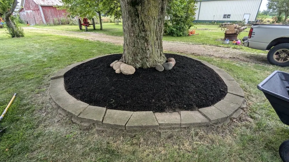Expert yard cleanup service for year-round maintenance in Pettisville, OH by TK Lawncare