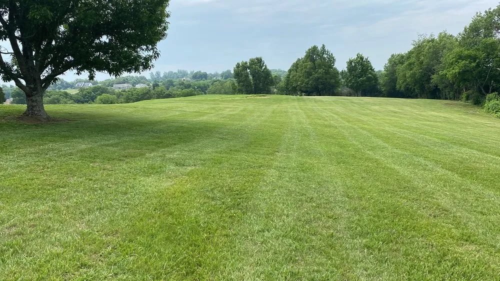 Local yard cleanup service experts serving Maryville, TN - TK Mowing