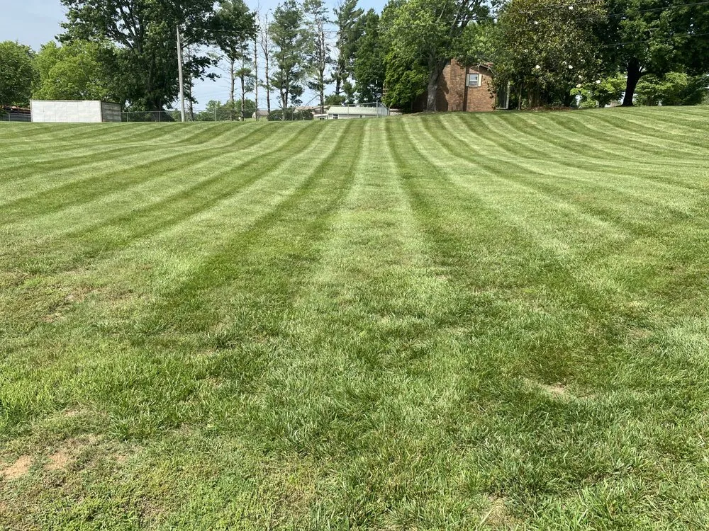 Trusted yard cleanup service in Maryville, TN - TK Mowing