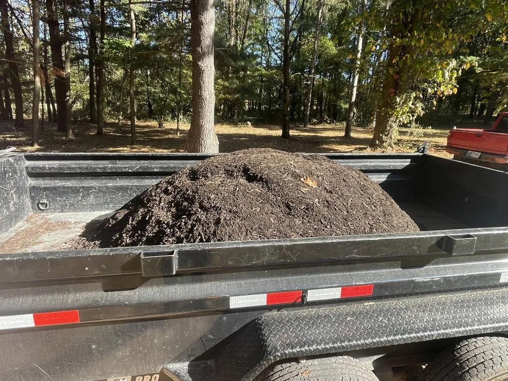 Affordable yard cleanup service in Knox, IN by TK Outdoor Services