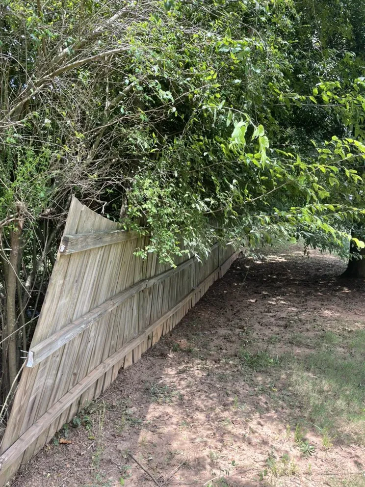 Reliable yard maintenance experts serving McDonough, GA - TK Outdoor Services