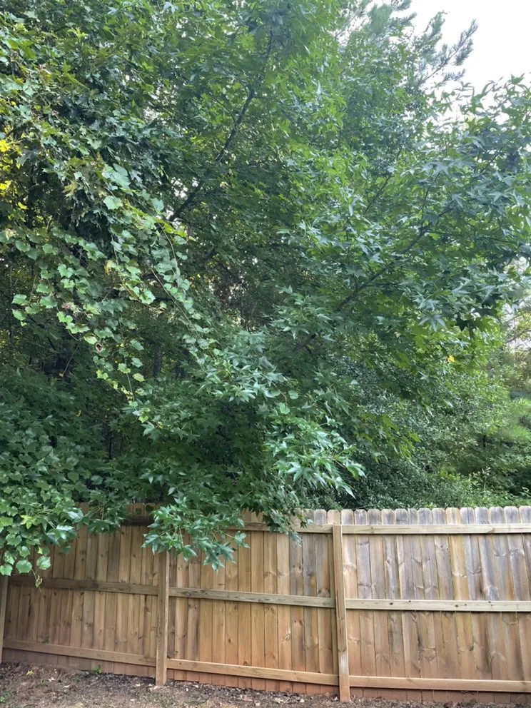 Trusted garden landscaping experts serving McDonough, GA - TK Outdoor Services