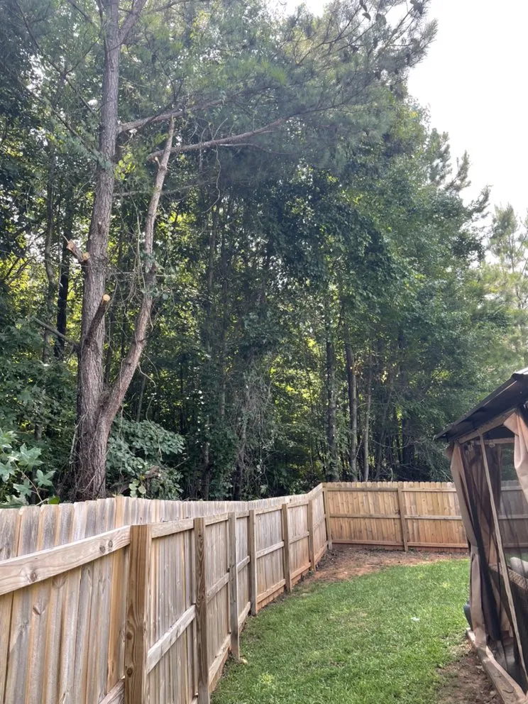 Reliable outdoor landscaping for beautiful yards in McDonough, GA by TK Outdoor Services