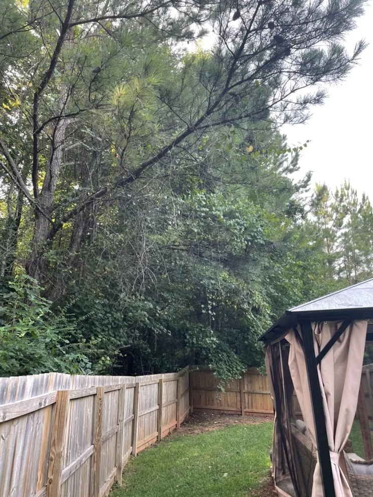 Affordable lawn mowing service experts serving McDonough, GA - TK Outdoor Services