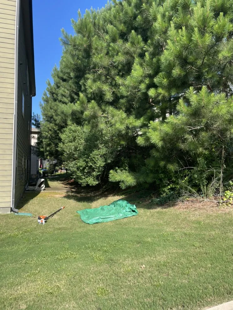 Affordable lawn mowing service in McDonough, GA by TK Outdoor Services