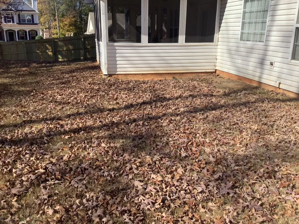 Reliable outdoor landscaping for beautiful yards across McDonough, GA - TK Outdoor Services