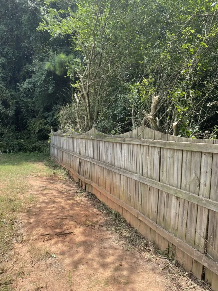 Reliable yard maintenance for beautiful yards across McDonough, GA - TK Outdoor Services